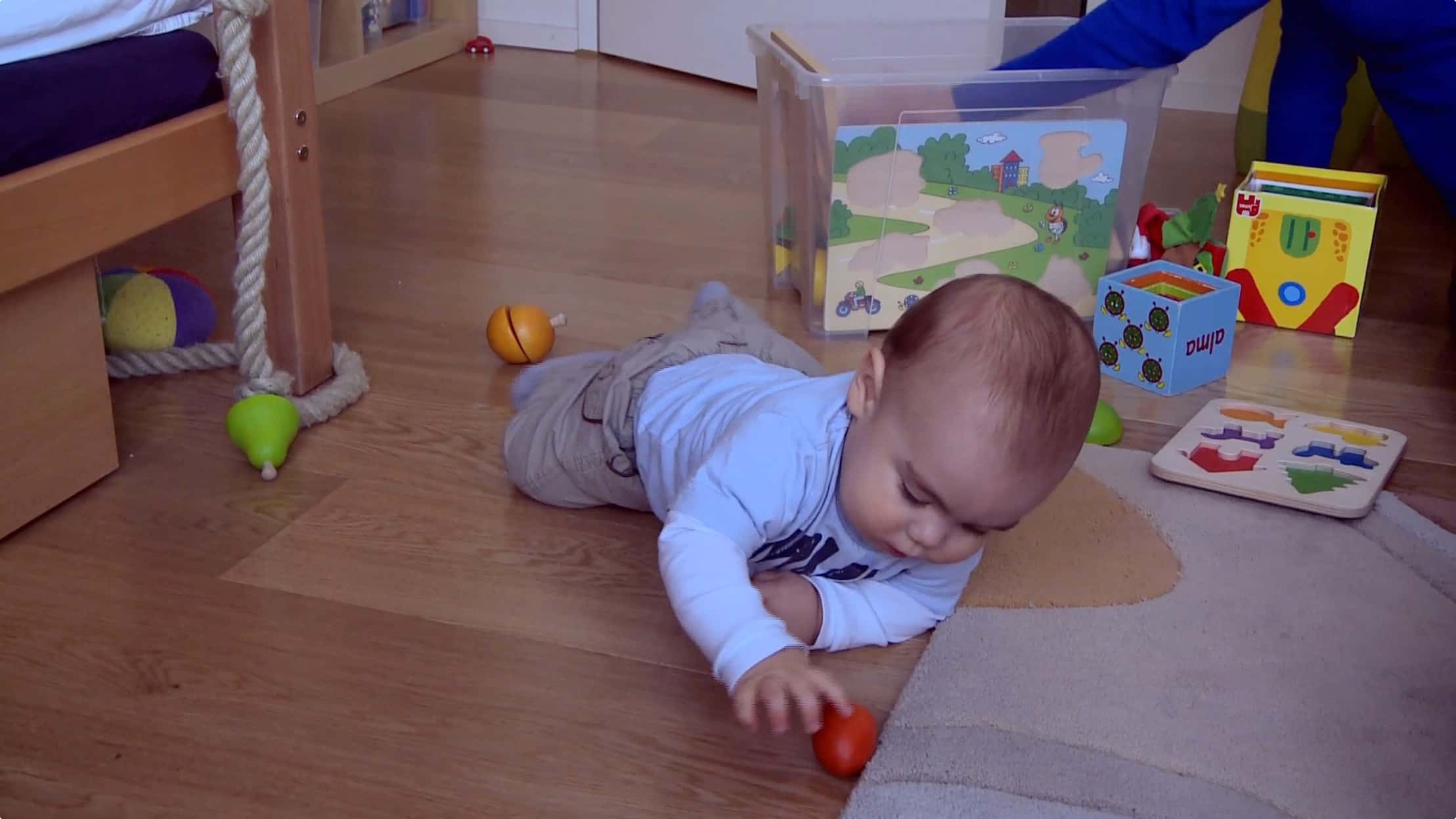 Vorschaubild für Film Holzfrucht