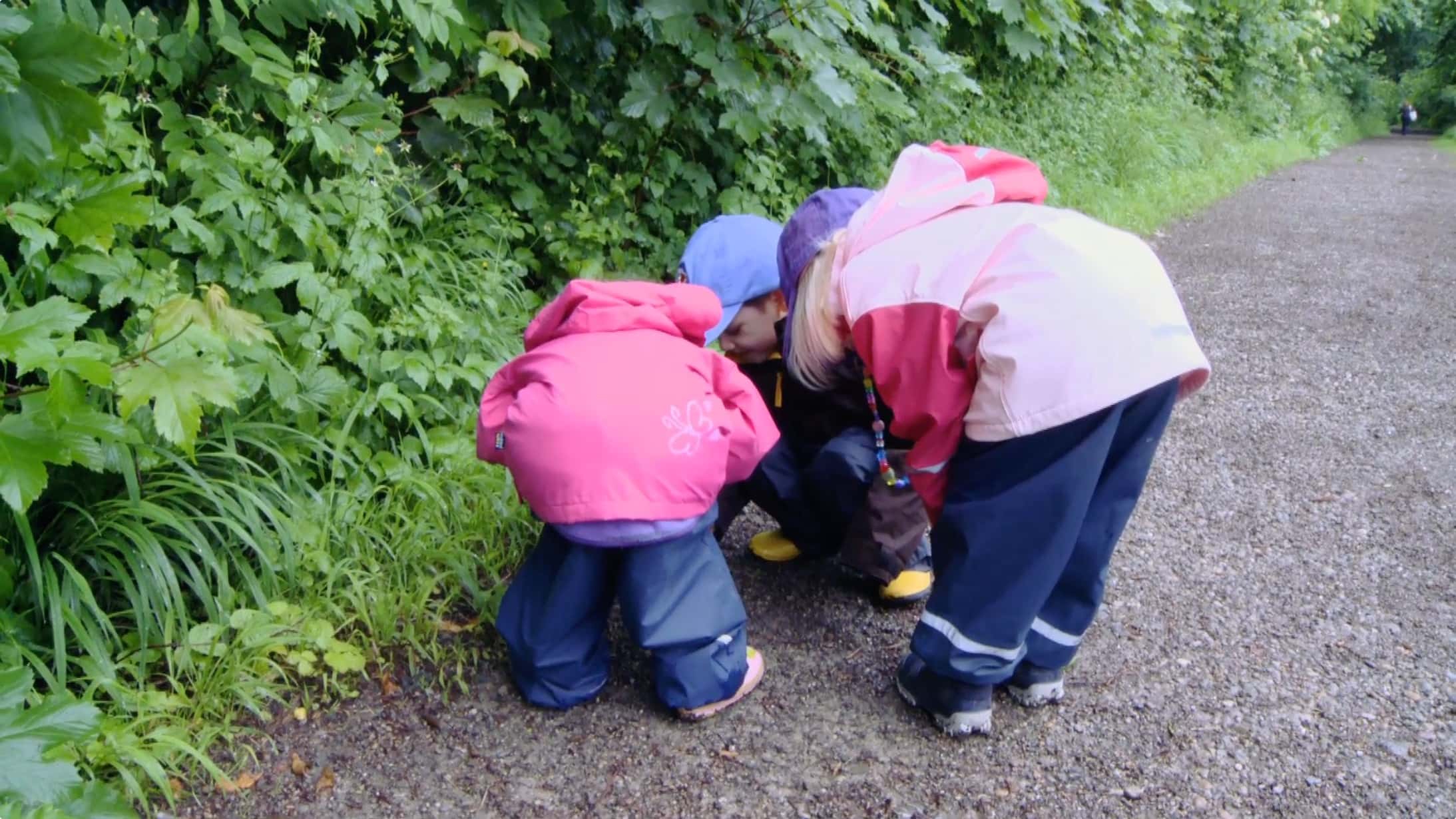 Vorschaubild für Film On the path